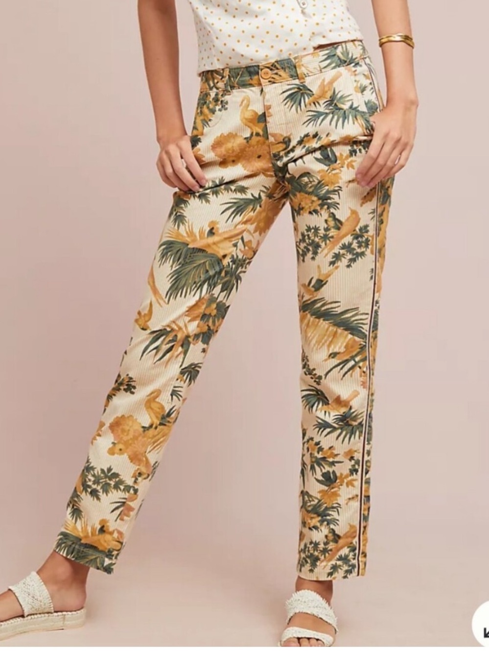 Chino Anthropologie Bird of Paradise Print Straight-Leg Relaxed Pants Stripe 27